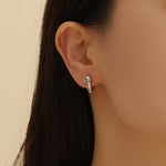 Load image into Gallery viewer, Polished Curve Earrings
