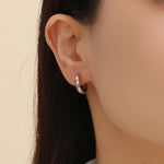 Load image into Gallery viewer, Classic Curve Hinged Hoop Earrings
