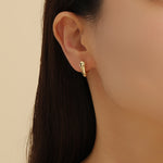 Load image into Gallery viewer, Polished Curve Earrings
